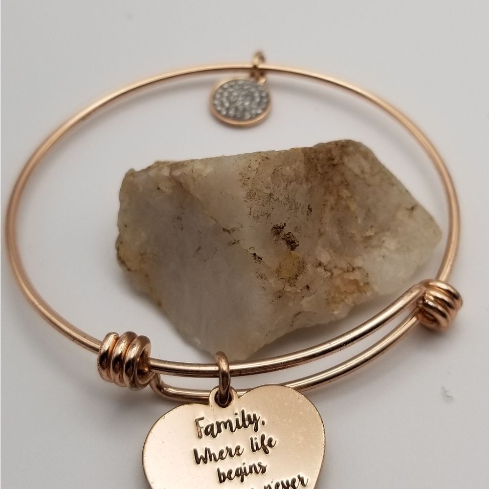 Wheat fields whimsical gold tone family life begins charm bracelet. B426 - Picture 2 of 2
